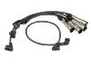 Ignition Wire Set:200 998 031