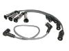 Ignition Wire Set:200 998 031 B