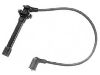 Cables d'allumage Ignition Wire Set:22440-57Y10