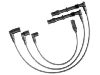 Ignition Wire Set:0300891174