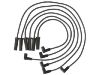Ignition Wire Set:19171853