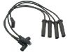 Ignition Wire Set:19170851