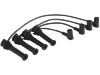 Cables de encendido Ignition Wire Set:111984043